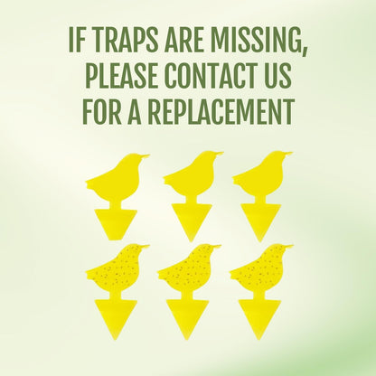 Kate's Home & Garden Plant Spray for Insects & Getting Rid of Gnats with 12 Sticky Traps. Fungus Gnat Killer & Bug Spray for Indoor Plants (16oz, Peppermint, Pet Safe, Non Toxic)