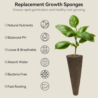 inbloom Salad Green Seed Pod Kit for Hydroponics Growing System, 7 Pods (350+ Seeds with American Fast/Paris Island/Buttercrunch Lettuce, Swiss Chard, Spinach, Cauliflower, and Wild Cabbage)