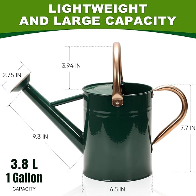 Metal Watering Can with Removable Spout, Galvanized Watering Can, Perfect for Indoor Use and for Outdoor Use (1 Gallaon, Green)