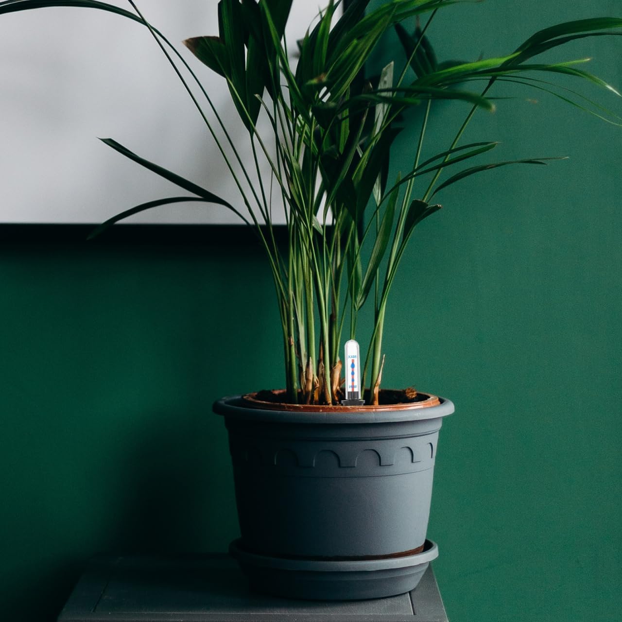 DOITOOL Plant Water Level Indicator for Flower Pots 4Pcs Water Shortage Reminder Gauge Floating Moisture Meter 8.97 Inch Durable Soil Moisture Monitor for Indoor Outdoor Plants