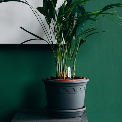 DOITOOL Plant Water Level Indicator for Flower Pots 4Pcs Water Shortage Reminder Gauge Floating Moisture Meter 8.97 Inch Durable Soil Moisture Monitor for Indoor Outdoor Plants