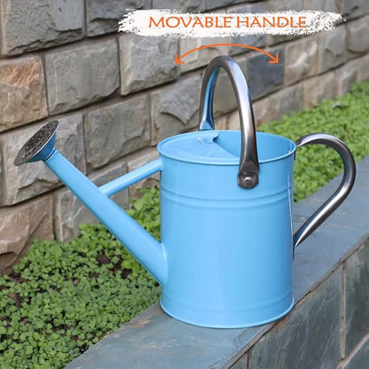 Metal Watering Can, One Gallon Watering Cans Stainless Steel for Outdoor Indoor Garden Plants Watering (Stainless Steel Handle Blue)
