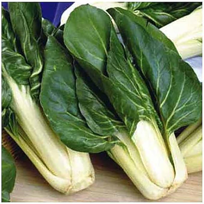 Rhubarb Swiss Chard - Delicious and Nutritious… - Delicious and Nutritious - Approximately 175 Seeds