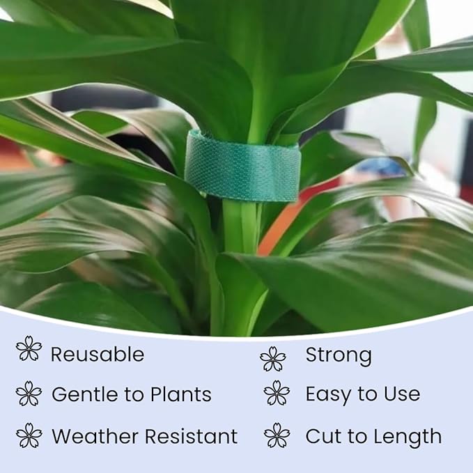 Reusable Plant Ties Hook and Loop Soft Garden Tape Roll Gentle Plant Supporting Ties Double Sided Self Gripping Adjustable Garden Staking Straps for Climbing Plants and Vines (1/2 Inch x 82 ft, Green)