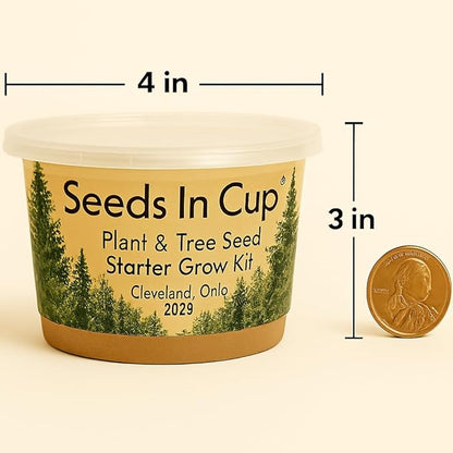 Black Locust Tree Starter Kit - Easy-to-Use, Educational, Great Gift - Made in USA