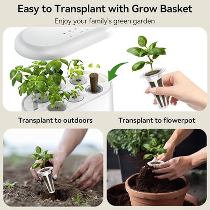 inbloom Gourmet Herb Seed Pod Kit for AeroGarden, iDoo, Ahopegarden with Basil, Parsley, Cilantro, Chrysanthemum, Pak Choi, Crystalline Ice Plant, Onion, Hydroponics Growing System Supply (12-Pod)