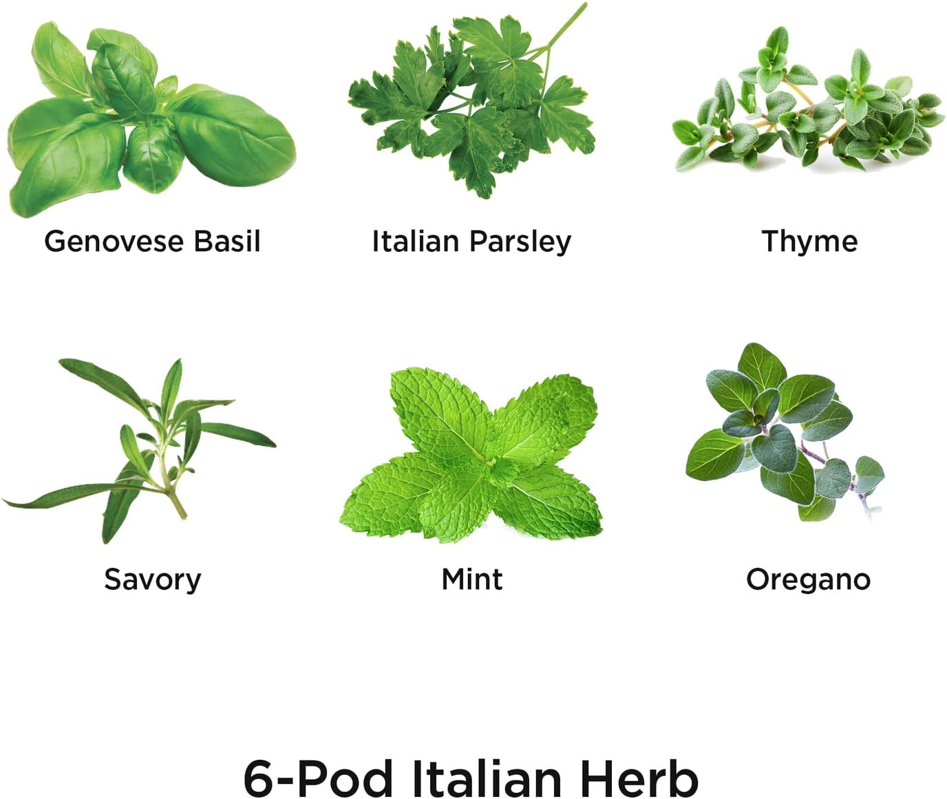 AeroGarden Assorted Italian Herb Seed pod Kit, 6-Pod