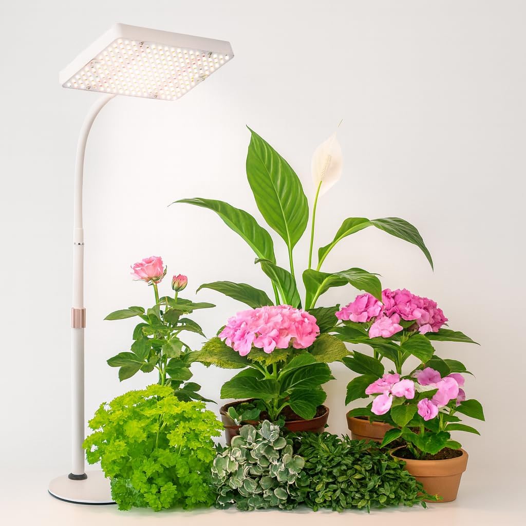Tabletop Grow Light for Seed Starting, 25 Watt Brightest Bonsai Plant Light, Adjustable Height 16"-24" Desk Grow Lights for All Indoor Plants, Daisy Chain Function, On/Off Switch