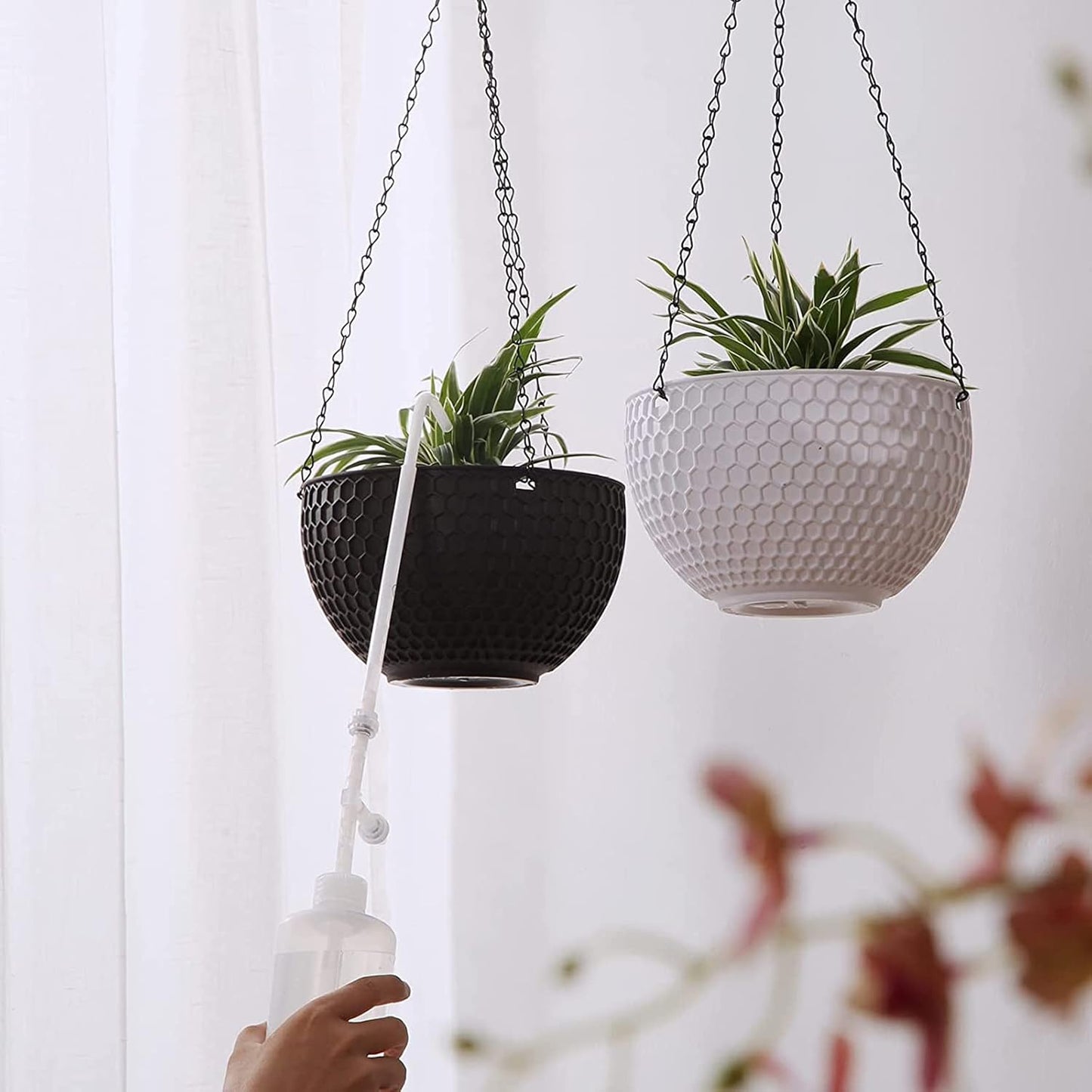 Hanging Plant Plant Watering Bottle Update Multifunction Watering can with Long Spout Can Anti-backflow Watering System | Indoor or Outdoor | U.S.A Patent Design