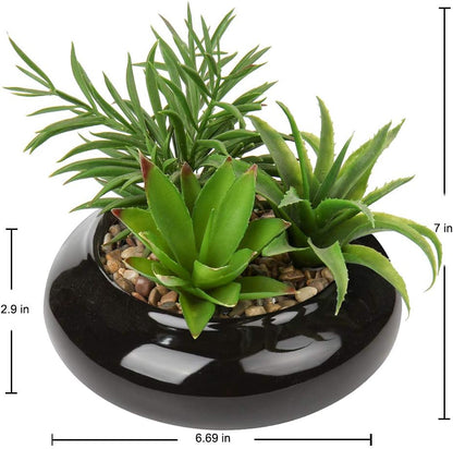 Hollyone Large Artificial Succulents Plants Faux Succulents in Pots Fake Succulent Potted Plants with Black Ceramic Pot for Home Decor Office Desk Bathroom Living Room Indoor & Outdoor Decorations