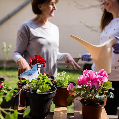 HEEPDD Soil Moisture Sensor Meter with Bird Design, Plant Watering Alarm Device for Indoor Outdoor Potted Plants