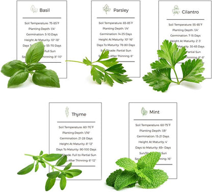 Herb Garden Seeds Collection - 5 Culinary Herb Seeds Pack - Organic Basil, Mint, Parsley, Cilantro and Thyme Seeds, Heirloom Non-GMO Seeds for Planting
