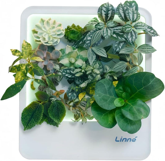 Indoor Garden Hydroponic System with LED Grow Light Indoor herb Garden, Indoor Garden Hydroponic System with LED Grow Light (Gery)