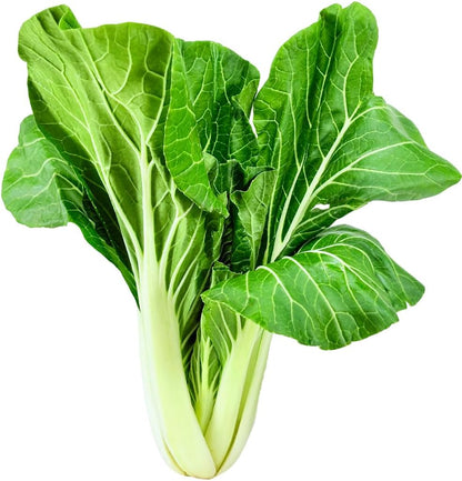 Greens Seedlings: Ready-to-Plant Seedlings, Starts, Plugs, Garden-Ready, Live Plants, Transplants, Pre-sprouted, for Soil & Hydroponic Gardens (Medium (36 seedlings))