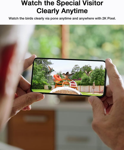 Smart AI Bird Feeder with Camera: Solar-Powered, 2K Live Video, Bird‘s Species Identification, Arrival Alerts, and Motion Capture –Wireless Bird Camera for Watching Birds (Orange)