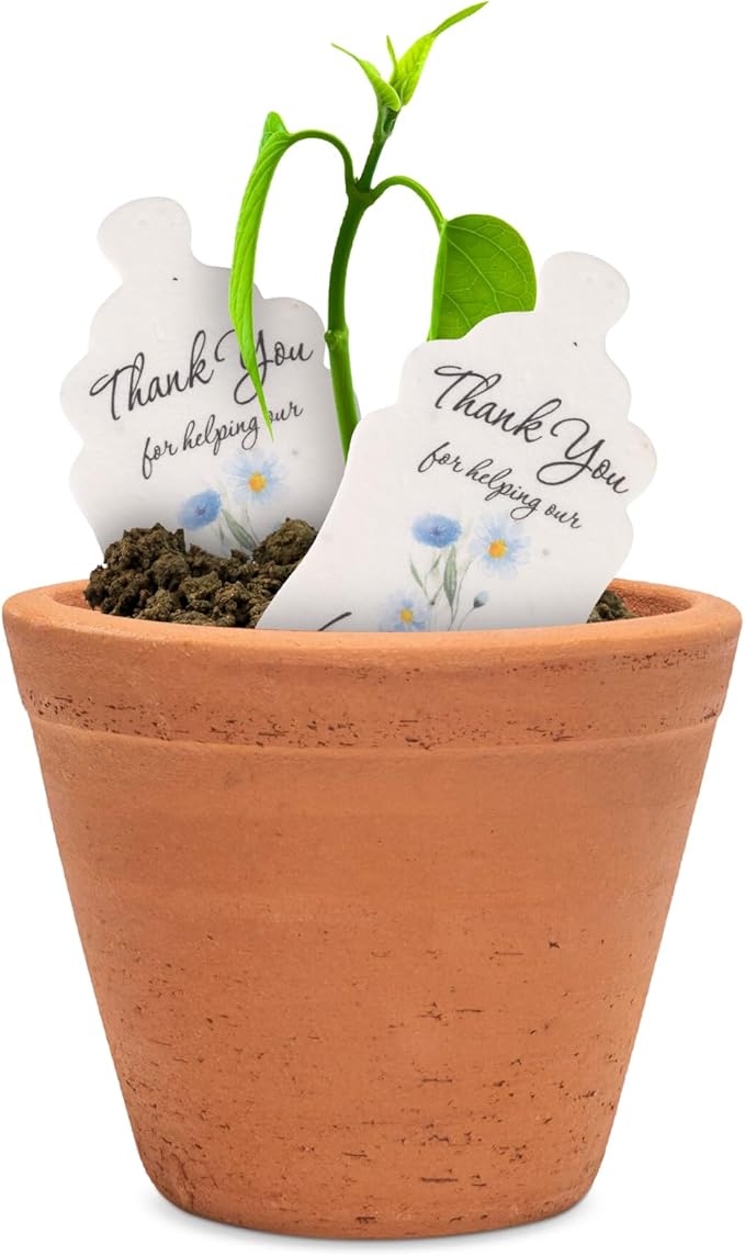 Baby Bottle Shaped Seed Paper – 15 Blue Baby Shower Favors for Guests with Wildflower Seeds, Writable & Plantable, Gender Reveal, Birthday Gifts for Guest