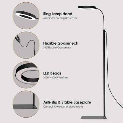 GLOWRIUM Grow Lights for Indoor Plants, 20W Full Spectrum LED Grow Light Floor Lamp with Stand Adjustable Height and Angle, Black Plant Light with 3/9/12H Grow Light Timer