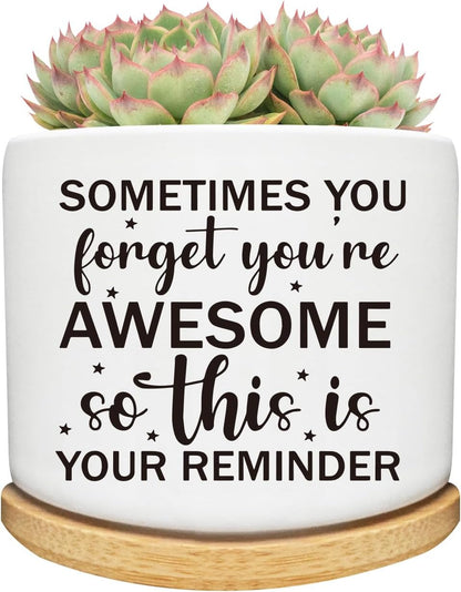 Succulent Cactus Cute Planter Pots with Bamboo Tray, Office Kitchen Home Windowsill Indoor Decor, Gift for Friends Mom Women Coworkers Teachers Plant Lovers