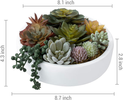 MyGift 8 Inch Round Modern Artificial Succulent Arrangement Potted in White Concrete Plant Bowl, Assorted Faux Mini Succulents in a Decorative Planter Pot