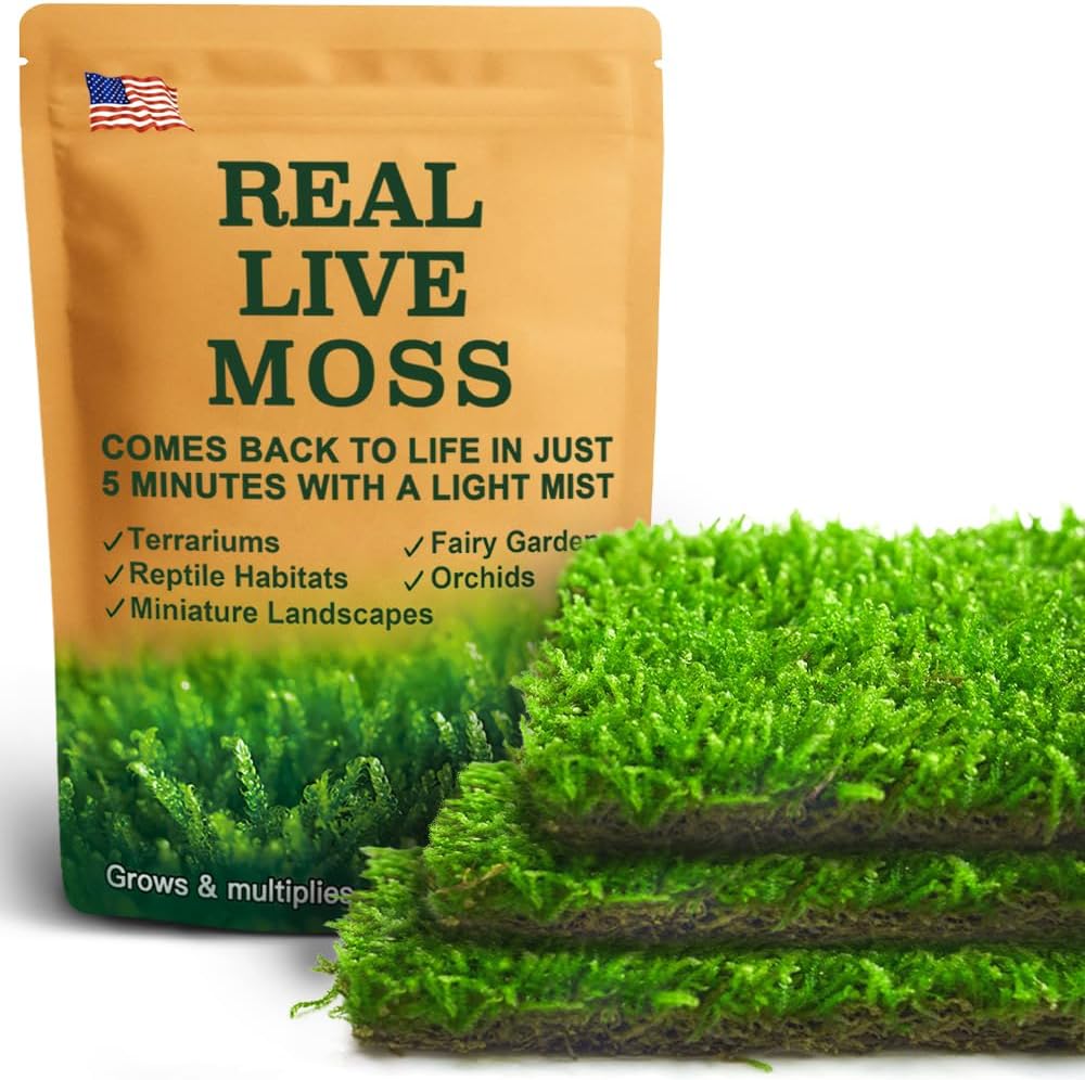 Lucky Plant Fresh Live Moss Variety Pack - Ideal for DIY Terrariums, Miniature Bonsai, Potted Plants, Reptiles, Succulents, (A Whole Piece of 8" x8" Fresh Hypnum Moss)
