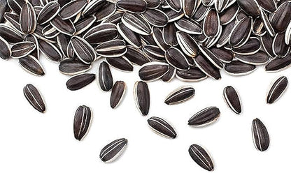 Giant Sunflower Seeds - Mammoth Grey Striped Seeds - Attracts Bees and Butterflies
