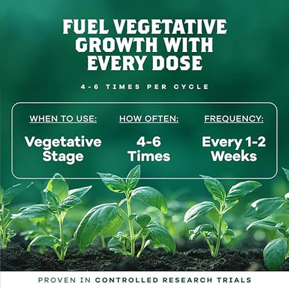 DYNOMYCO Spark WP Mycorrhizal Fungi, 6oz Wettable Powder – 3-In-1 Root Enhancer Amplifies Nutrient Uptake & Yield – Treats 38 Plants, Indoor/Outdoor Bio-Stimulant – Dissolves Fast in Seed Starter Soil