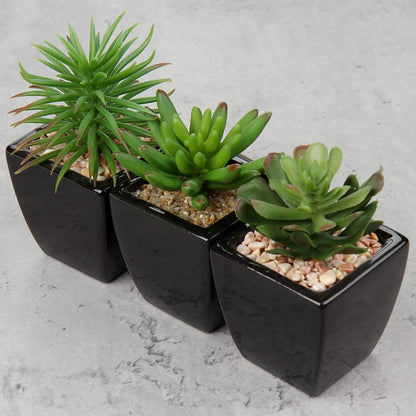 Hollyone Small Succulents Artificial 3 Pcs Faux Succulents in Pots Fake Succulent Plants with Black Ceramic Pots for Modern Home Office Desk Bathroom Shelf Living Room Decor