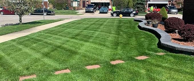 Lesco All-Pro Transition Tall Fescue Grass Seed Blend (50 lbs) – Drought-Tolerant, Heat & Shade Resistant, Insect-Resistant Lawn Seed for Durable Turf - **Non-Returnable**