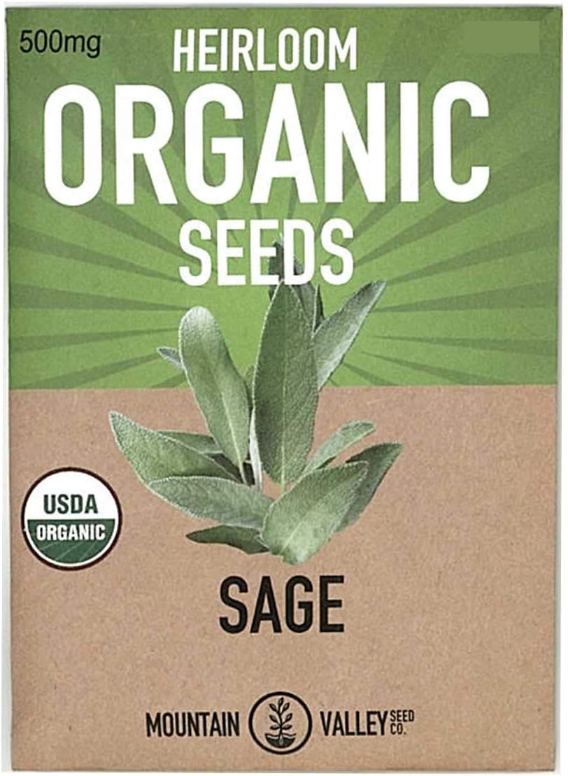 Organic Sage Seeds - 500 mg Packet - Non-GMO Herb Garden Seeds - Culinary Sage for Cooking - Perennial Gardening