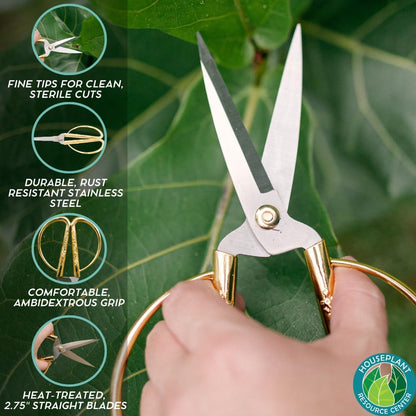 Premium Houseplant Scissors | 100% Stainless Steel, Ultra-Precise Garden Clippers for Propagation & Trimming | Rust-Resistant, Easy Clean Pruning Shears | Indoor & Outdoor | Comfortable & Ambidextrous