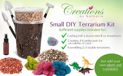 – DIY Large Terrarium Starter Kit with Soil, Moss, Pebbles, Healing Crystal, Tools & Supplies – Terrarium Kit for Adults & Kids, Handcrafted in USA