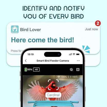 Bird Feeder with Camera-2K HD & Full Color Night Vision, Free AI Forever for 1,1000+ Species Identification, Solar Powered Wireless Outdoor, Includes 64GB TF Card, Two-Way Audio, App Alerts