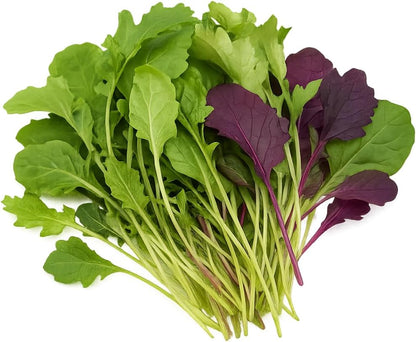 Greens Seedlings: Ready-to-Plant Seedlings, Starts, Plugs, Garden-Ready, Live Plants, Transplants, Pre-sprouted, for Soil & Hydroponic Gardens (XL (120 seedlings))