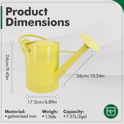 Galvanized Iron Watering Can for Indoor Plants, DIY Watering Cans for House Plant Garden Flower, Long Spout Water Can for Outdoor Watering Plants 7.57L 2 Gallon (Beige)