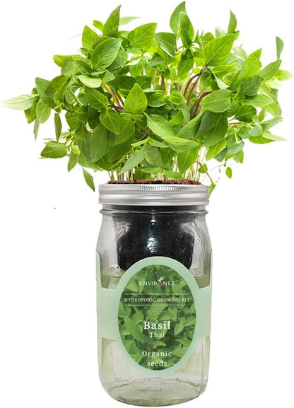 Hydroponic Herb Growing Kit, Self-Watering Mason Jar Herb Garden Starter Kit Indoor, Windowsill Herbs Garden, Grow Your Own Herbs from Organic Seeds (Thai Basil)