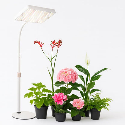 Tabletop Grow Light for Seed Starting, 25 Watt Brightest Bonsai Plant Light, Adjustable Height 16"-24" Desk Grow Lights for All Indoor Plants, Daisy Chain Function, On/Off Switch