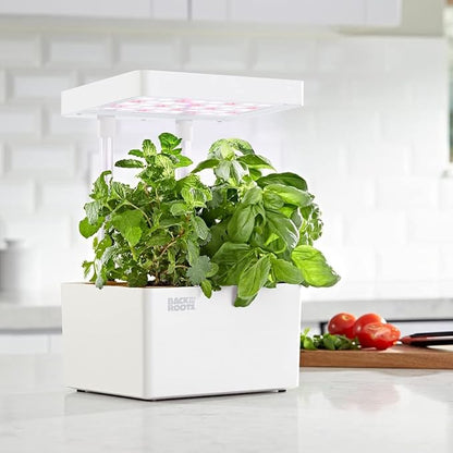 Back to the Roots 33006 Hydroponic Grow Kit Refill Pack