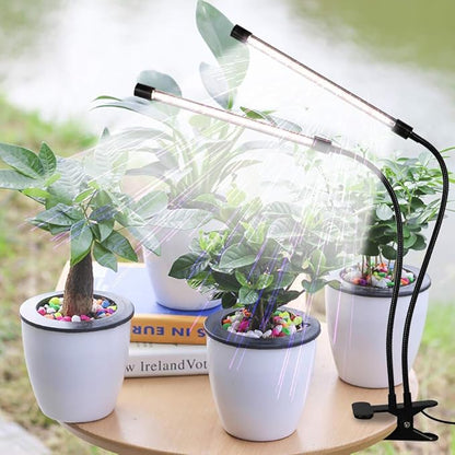 GooingTop LED Grow Light,6000K Full Spectrum Clip Plant Growing Lamp with White Red LEDs for Indoor Plants,5-Level Dimmable,Auto On Off Timing 4 8 12Hrs