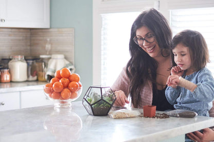 Shop Succulents Pastel Succulent Plant Pack Collection - Live Mini Succulent Plants, Low Maintenance, Bright & Serene Colors & Textures - Wedding and Party Favors, Gift & Garden, Pack of 5