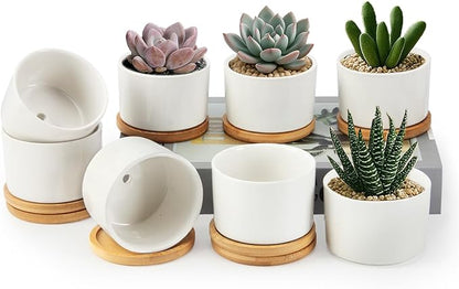 ZOUTOG Succulent Pots 3.1 Inch,8 Pack Succulent Planters,Small Pots for Plants with Drainage and Tray,White Ceramic Flower Planters for Indoor Plants,Home,Office,Desk