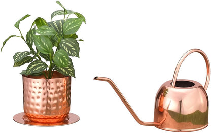 Glytterati- Indoor Watering Can and Planter with Plate.