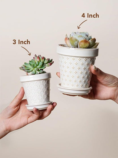 LE TAUCI Ceramic Succulent Pots, 4 Inch Small Plant Pot for Indoor Plant Cactus, Embossed Flower Pots with Drainage Hole & Saucer - Set of 4, Arctic White