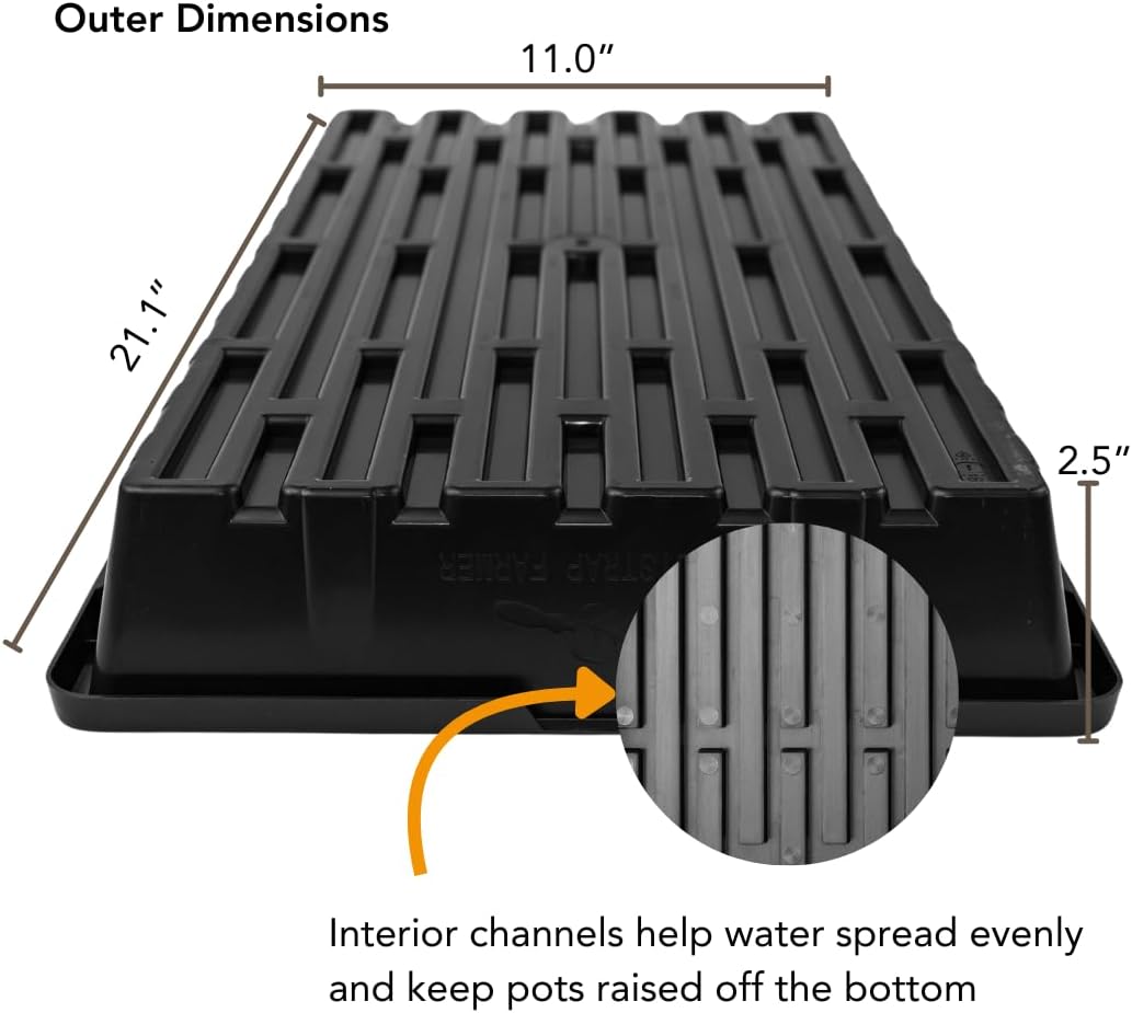 Bootstrap Farmer 1020 Trays - Extra Strength No Holes, 10 Pack, for Propagation Seed Starter, Plant Germination, Seedling Flat, Fodder, Microgreens