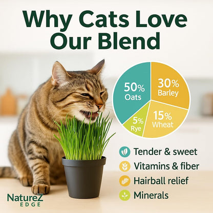 NatureZ Edge Premium Cat Grass Seeds for Indoor Cats, Non GMO - 1 lb Oat, Wheat, Barley & Rye Grass for Indoor Cats, Cat Plant, Kitty Lawn, Pet Grass, Hierba para Gatos, Made in USA