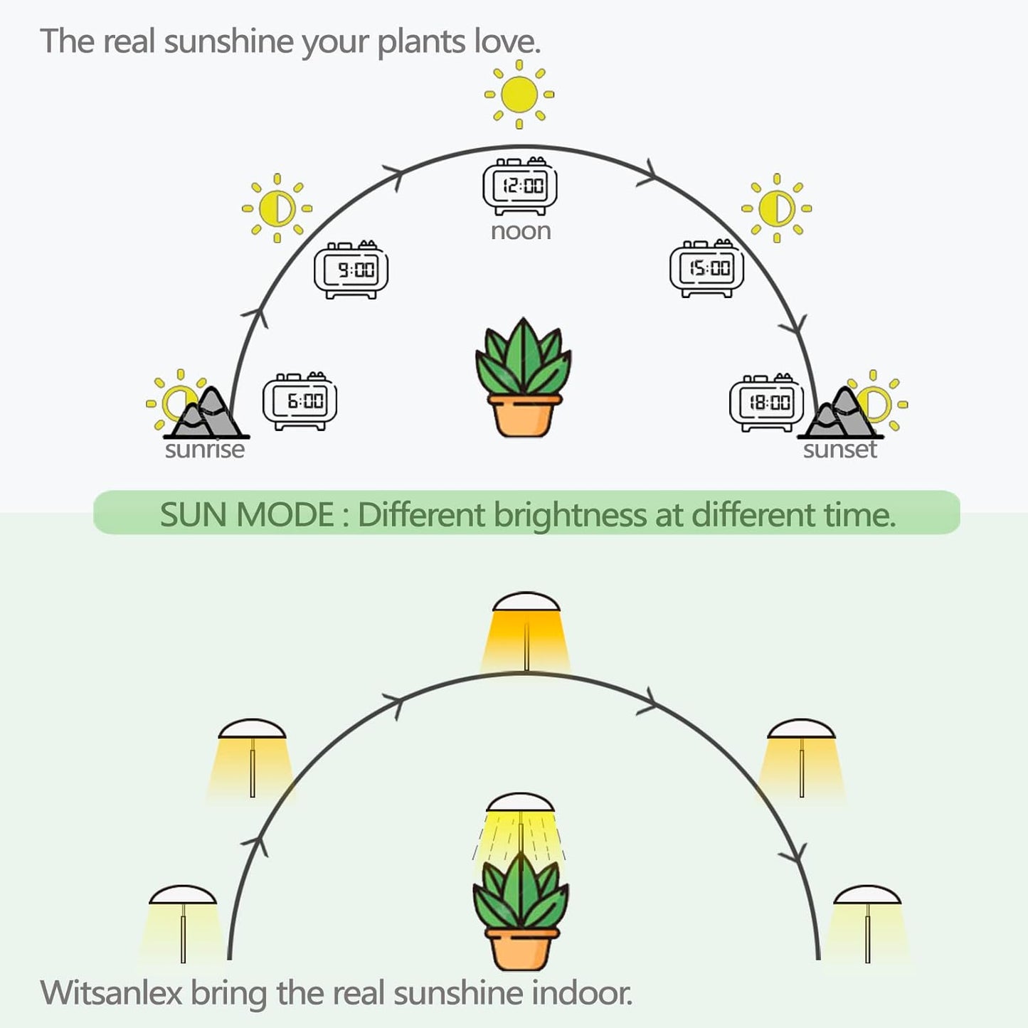 LED Grow Lights for Indoor Plants 2 Pack, Smart USB Small Full Spectrum Plant Lights with Remote, Height Adjustable, Auto On/Off Timer, Ideal for Home Decoration, Black