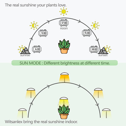 LED Grow Lights for Indoor Plants 2 Pack, Smart USB Small Full Spectrum Plant Lights with Remote, Height Adjustable, Auto On/Off Timer, Ideal for Home Decoration, Black