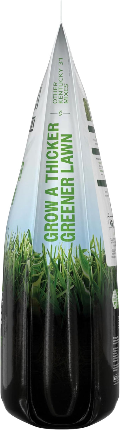 Scotts Kentucky 31 Grass Seed Mix for New Lawns or Overseeding, Grows Thicker and Greener vs. Other Kentucky 31 Mixes, Covers up to 10,000 sq. ft.