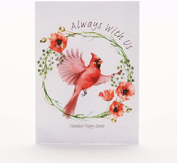 Bentley Seed Co. | Memorial Cardinal Celebration of Life Funeral Favors for Guests | Non-GMO, Non-Coated Flanders Poppy Seed Packets | Sentimental Funeral Service Gift | Pack of 25
