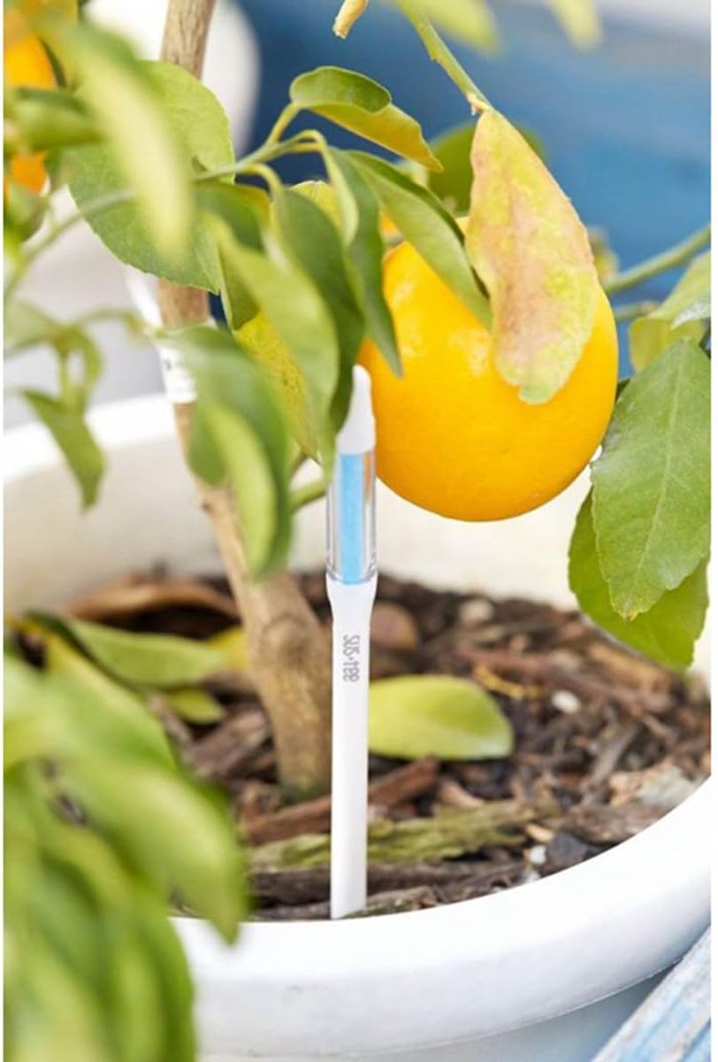 Sustee Aquameter, White, Medium, Set of 2 - Soil Moisture Meter for Potted Plants - Plant Water Sensor (Refillable Style)