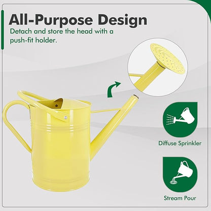 Galvanized Iron Watering Can for Indoor Plants, DIY Watering Cans for House Plant Garden Flower, Long Spout Water Can for Outdoor Watering Plants 7.57L 2 Gallon (Beige)